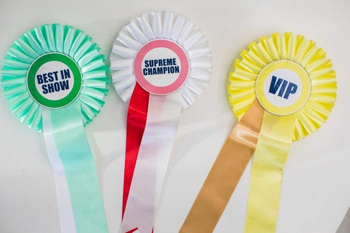 Craftcation Business Makers Conference California